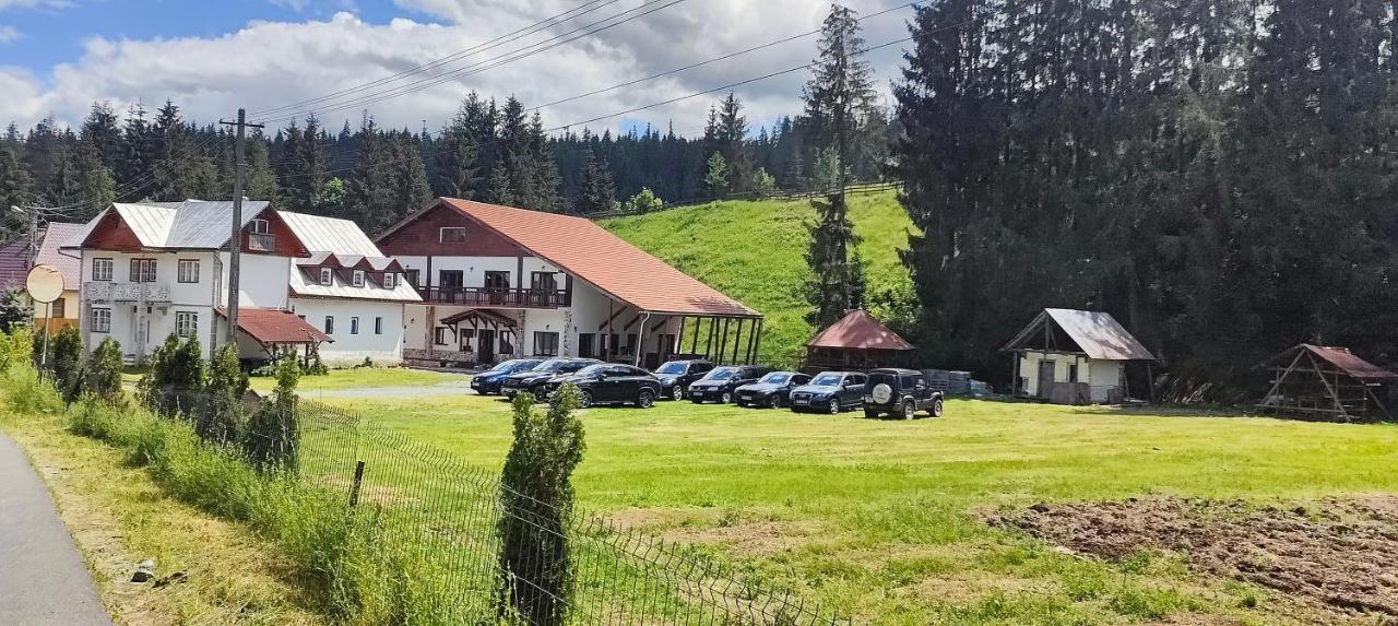 Pensiunea Trei Brazi Arieseni Bagian luar foto