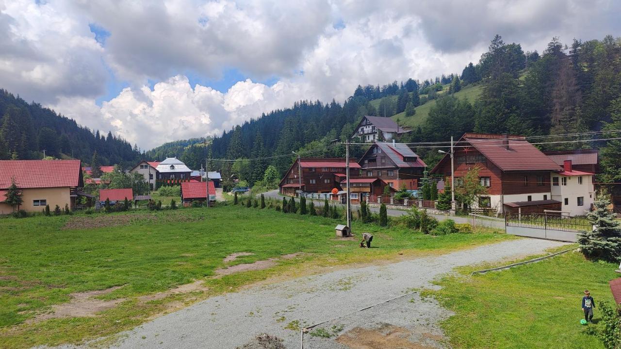 Pensiunea Trei Brazi Arieseni Bagian luar foto