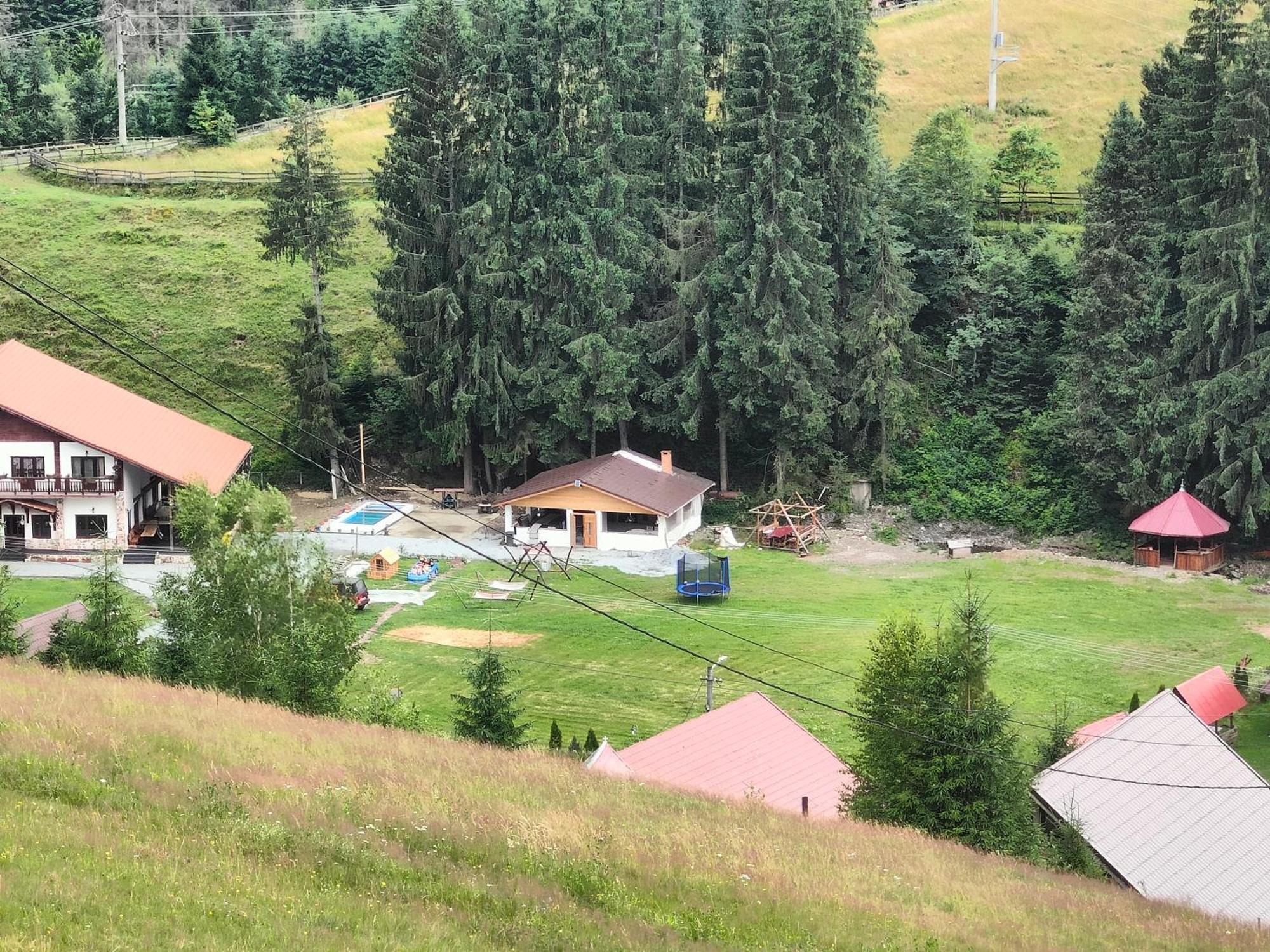 Pensiunea Trei Brazi Arieseni Bagian luar foto