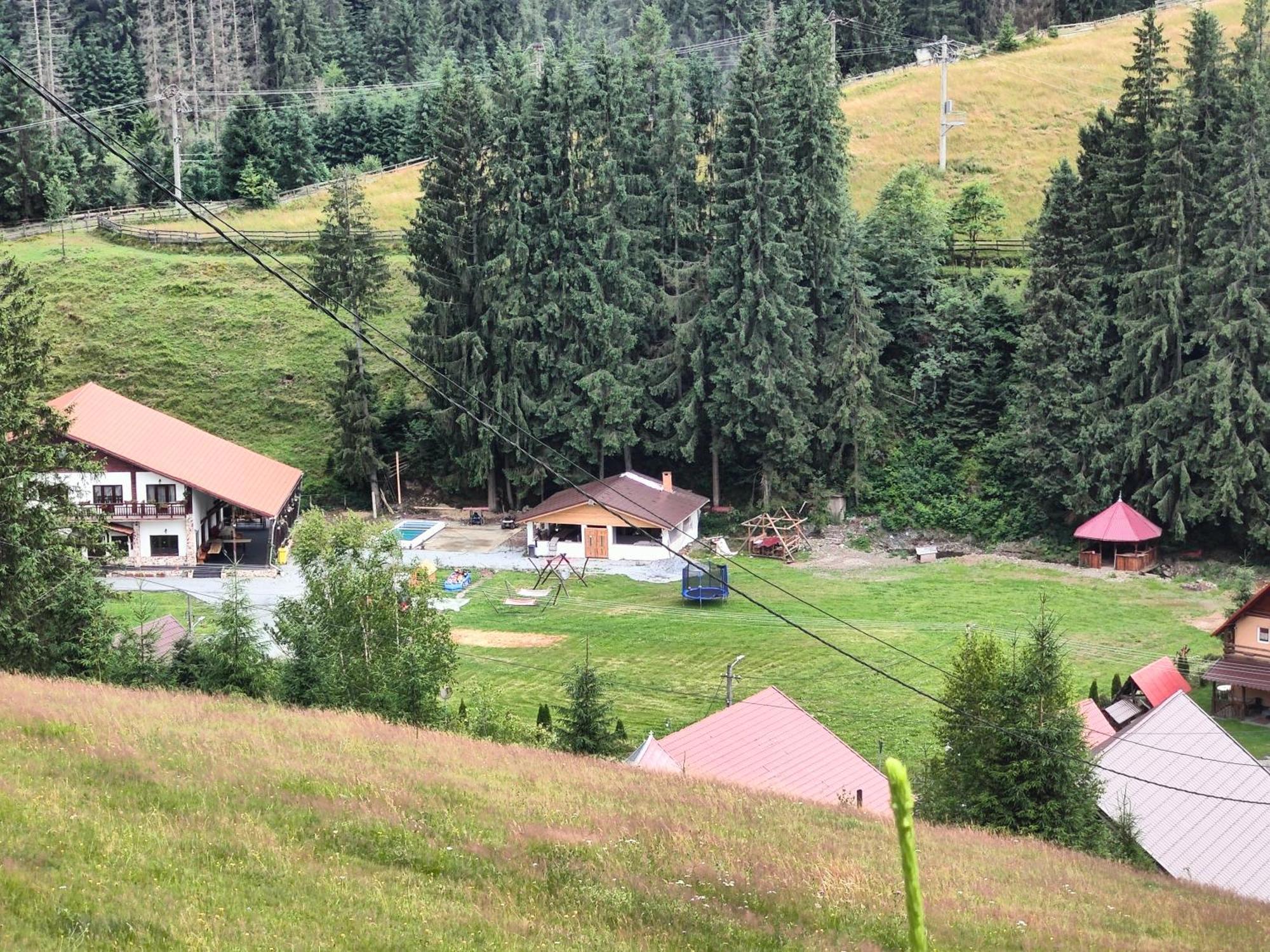 Pensiunea Trei Brazi Arieseni Bagian luar foto