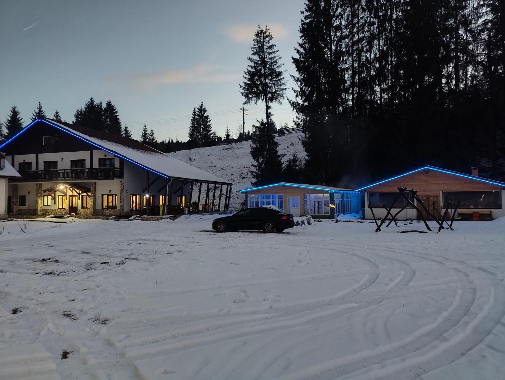 Pensiunea Trei Brazi Arieseni Bagian luar foto